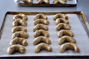 Julia's hazelnut bisc unbaked