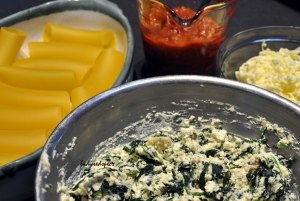 Spinach Ricotta Canneloni elements
